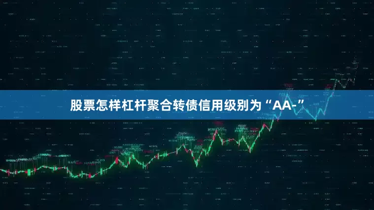 股票怎样杠杆聚合转债信用级别为“AA-”