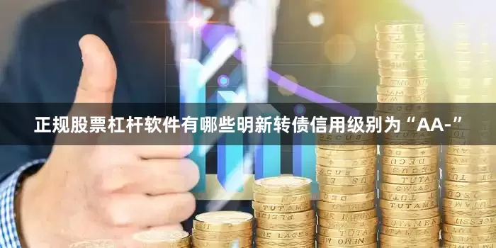 正规股票杠杆软件有哪些明新转债信用级别为“AA-”