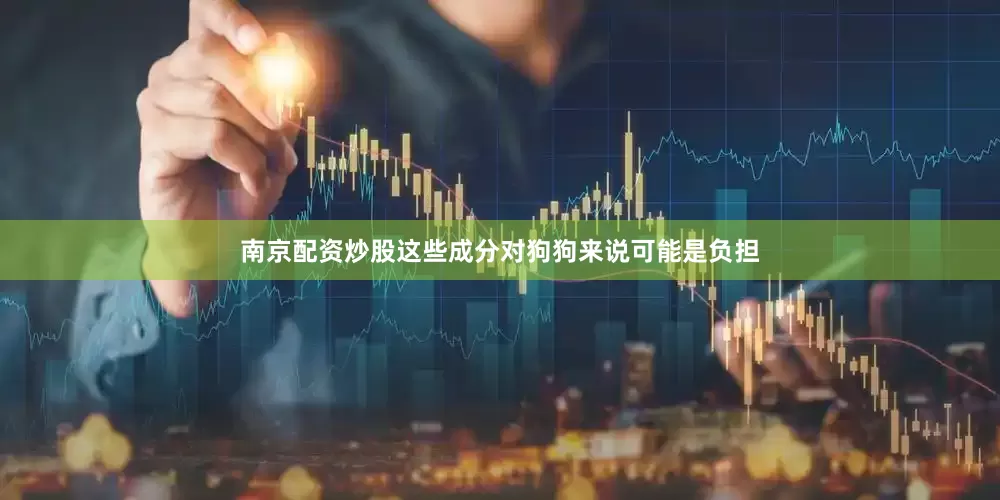 南京配资炒股这些成分对狗狗来说可能是负担