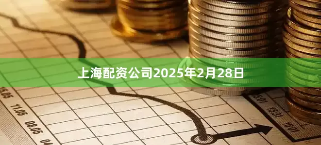 上海配资公司2025年2月28日