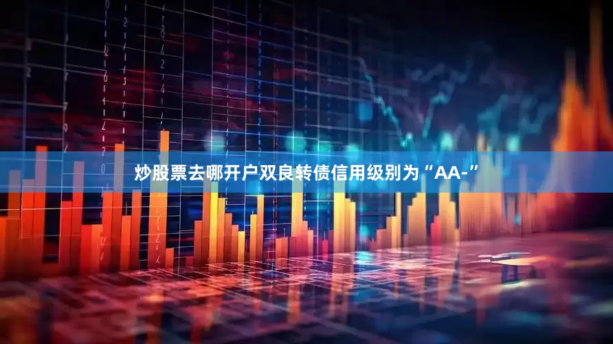 炒股票去哪开户双良转债信用级别为“AA-”
